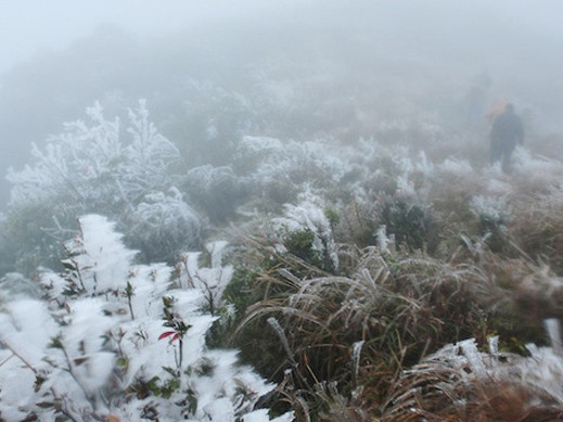 Băng tuyết xuất hiện vào sáng 5 -1 ở Mẫu Sơn. Ảnh: Đàm Duy