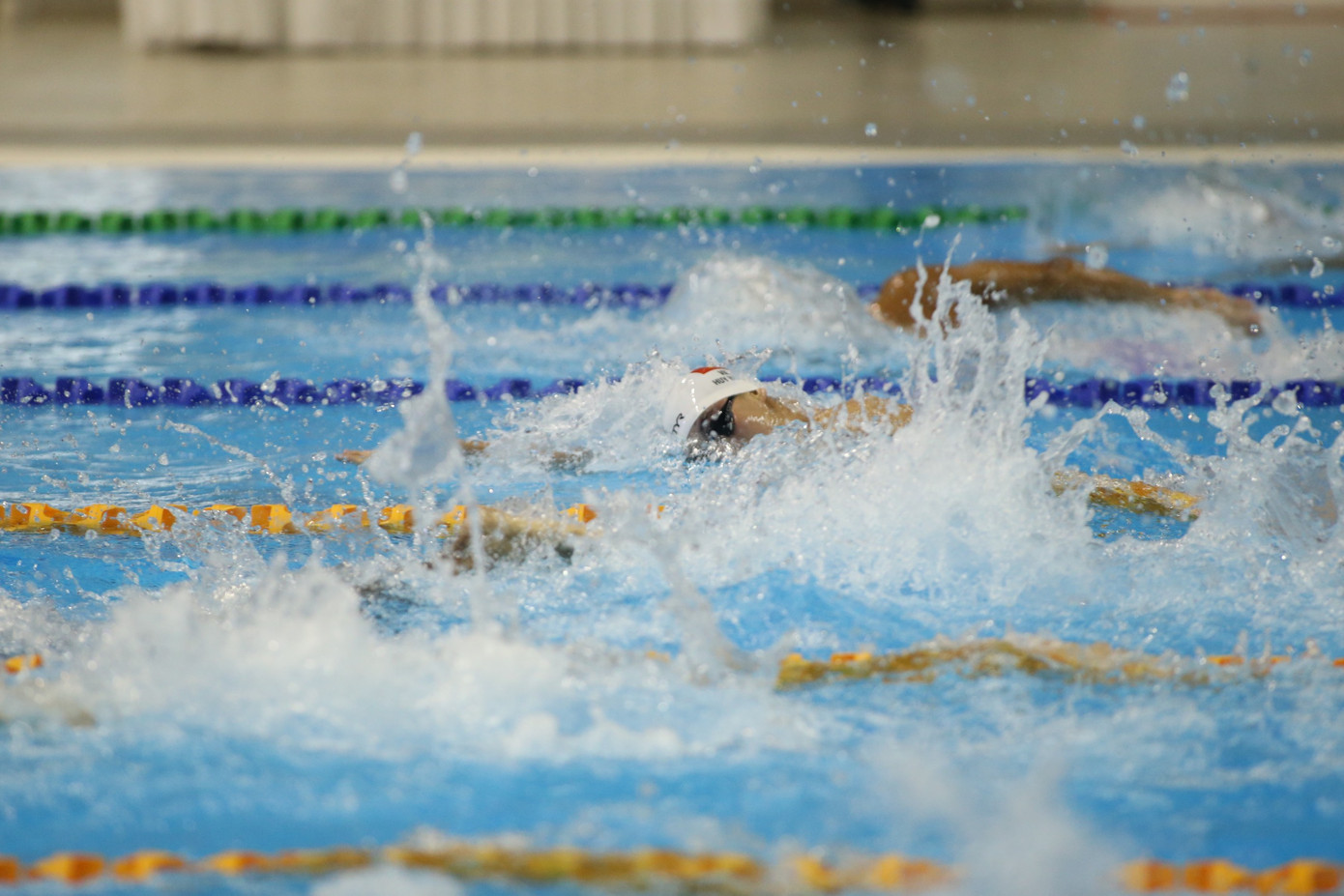 Ảnh: Quý Lượng