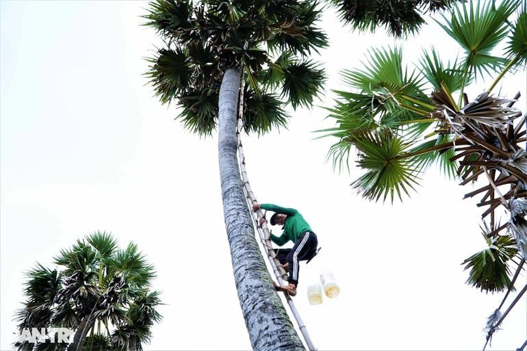 Hằng ngày, ông Tòng thức dậy từ 3h để lấy nước thốt nốt (Ảnh: Bảo Kỳ). Hằng ngày, ông Tòng thức dậy từ 3h để lấy nước thốt nốt (Ảnh: Bảo Kỳ).