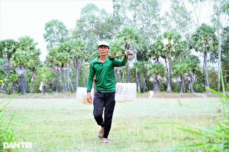 Quanh năm ông Tòng sống bằng nghề lấy nước thốt nốt. Lúc vào mùa ông có thể kiếm cả triệu đồng mỗi ngày (Ảnh: Bảo Kỳ). Quanh năm ông Tòng sống bằng nghề lấy nước thốt nốt. Lúc vào mùa ông có thể kiếm cả triệu đồng mỗi ngày (Ảnh: Bảo Kỳ).