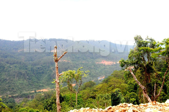 Dự án được triển khai phù hợp với tình hình thực tế, gắn kết với hệ thống đường giao thông trong khu vực, tạo ra hệ thống giao thông liên hoàn ở khu vực biên giới, vành đai biên giới, đồng thời góp phần ổn định an ninh, chính trị tại đây, phát triển kinh tế xã hội, xóa đói giảm nghèo cho đồng bào các dân tộc vùng biên