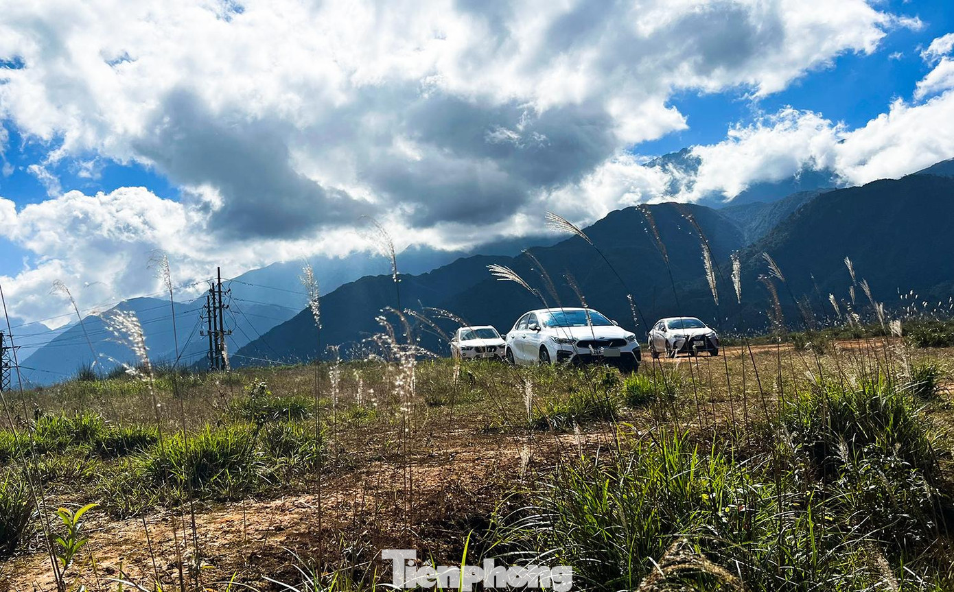 Bãi xe mọc trên khu đất trống. Bãi xe mọc trên khu đất trống.