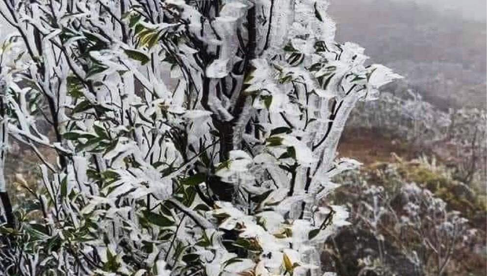 Cảnh báo xuất hiện băng giá tại các địa bàn vùng cao Yên Bái những ngày tới. Ảnh: TTXVN. Cảnh báo xuất hiện băng giá tại các địa bàn vùng cao Yên Bái những ngày tới. Ảnh: TTXVN.