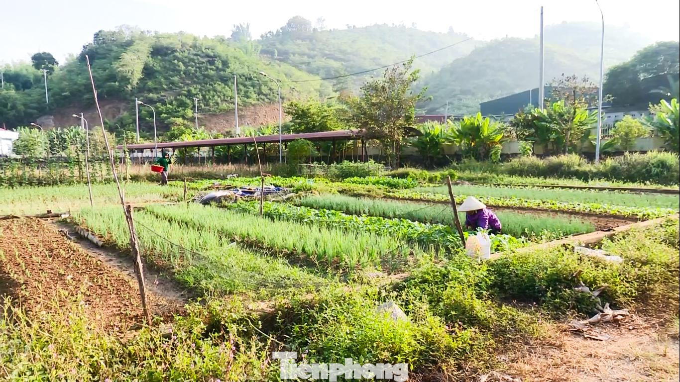 Bệnh viện trở thành nơi làm vươn trồng rau của người dân. Bệnh viện trở thành nơi làm vươn trồng rau của người dân.