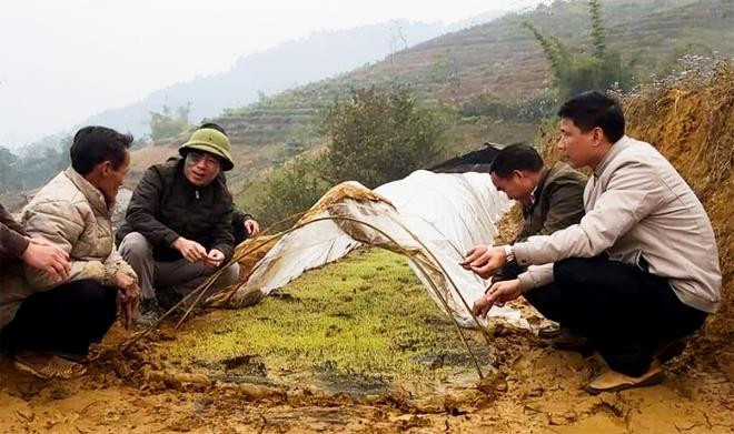 Công tác trồng trọt, chăn nuôi cần đặc biệt quan tâm trong điều kiện thời tiết rét đậm, rét hại. Ảnh: Báo Yên Bái. Công tác trồng trọt, chăn nuôi cần đặc biệt quan tâm trong điều kiện thời tiết rét đậm, rét hại. Ảnh: Báo Yên Bái.