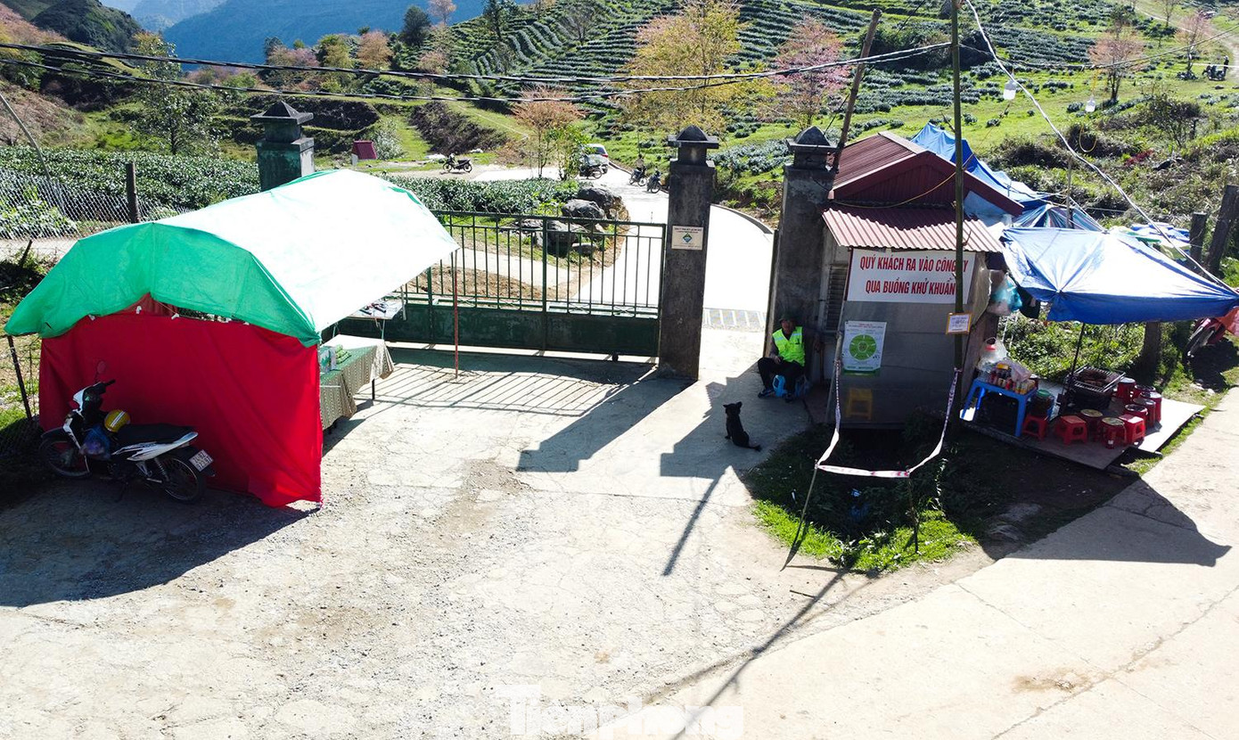 Công ty sở hữu đồi chè Ô Long chỉ bán "vé" vào cổng bằng túi chè trị giá 150.000 đồng. Công ty sở hữu đồi chè Ô Long chỉ bán "vé" vào cổng bằng túi chè trị giá 150.000 đồng.