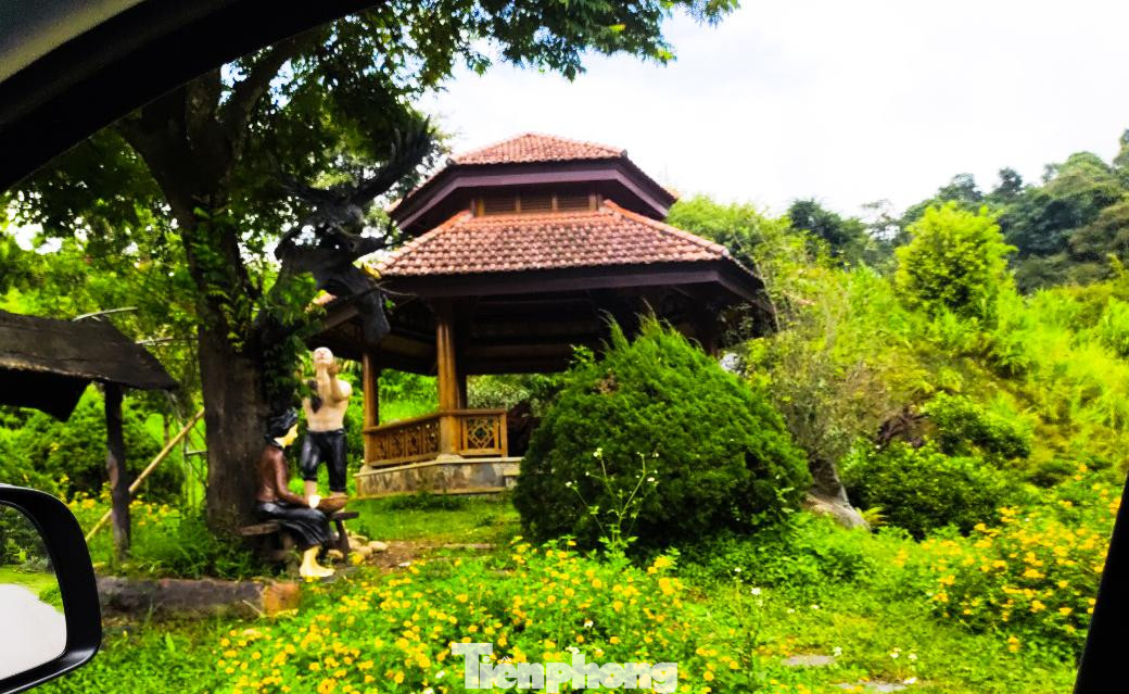 Các vị trí trồng hoa, cây cảnh phục vụ kinh doanh du lịch. Các vị trí trồng hoa, cây cảnh phục vụ kinh doanh du lịch.