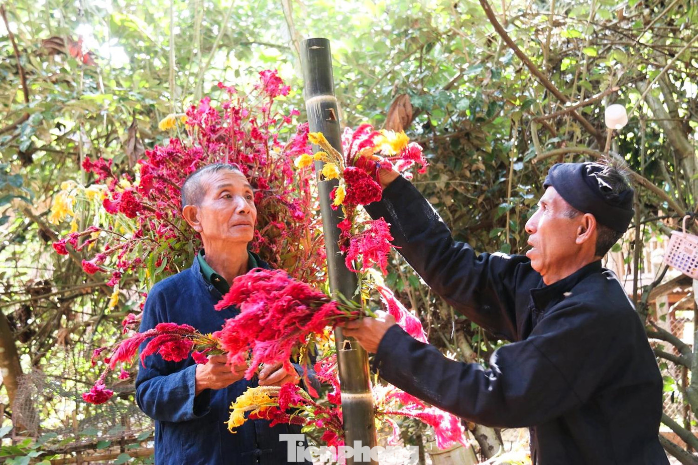 “Thầy mo”, già làng, phụ nữ trong bản trang trí cây niêu cho phần lễ cúng chính của bản. “Thầy mo”, già làng, phụ nữ trong bản trang trí cây niêu cho phần lễ cúng chính của bản.