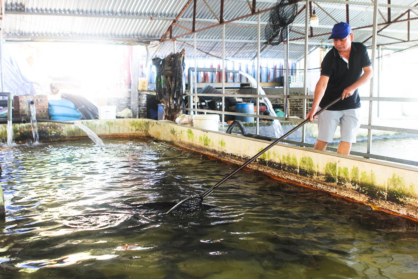 Mô hình nuôi cá nước lạnh của gia đình ông Quang ở Bát Xát, Lào Cai.