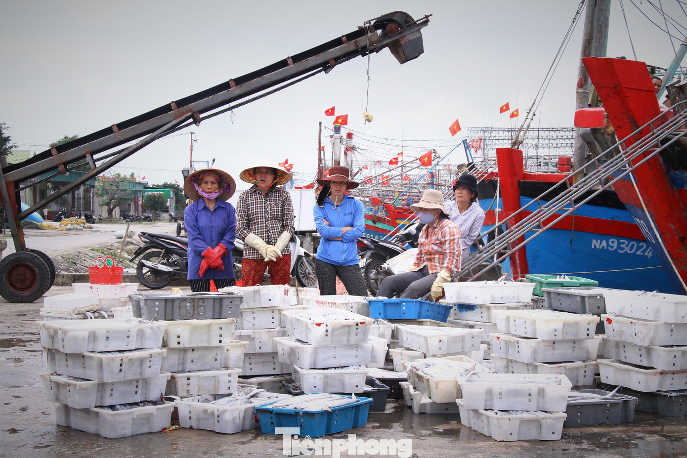 Chị Đinh Thu Hồng ( xã Quỳnh Tiến) cho biết : “ Mình là người nội trợ nên rất để ý cách chọn và nhận biết hải sản tưới ngon. Mực hấp sẵn cầm lên thấy săn chắc, khô con và có màng đốm nháy vẫn còn nguyên trên da là tươi và ngon.”