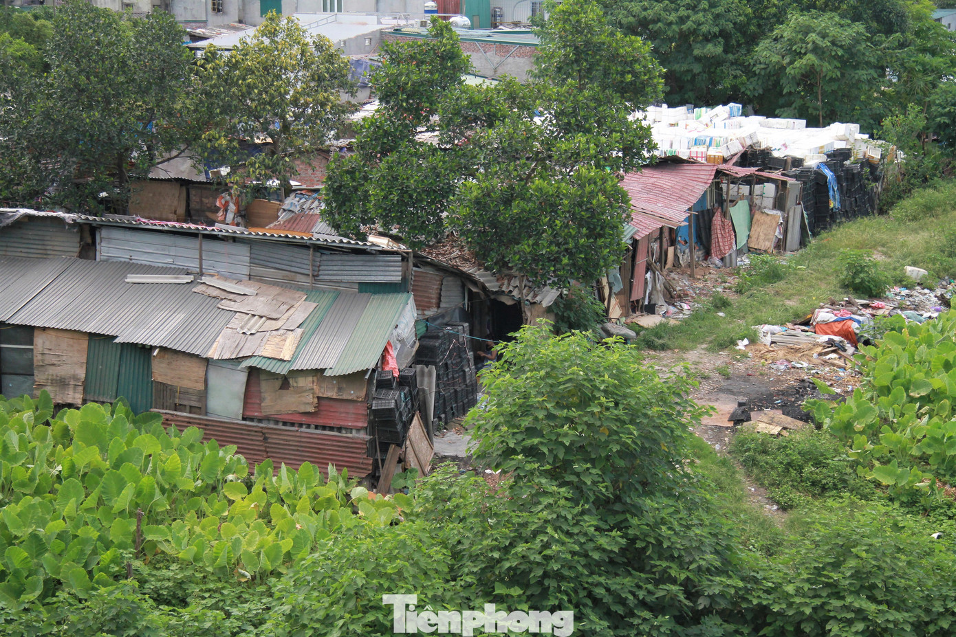 Họ vẫn ước hôm nào trời đổ mưa thì đêm đó sẽ có một giấc ngủ ngon. Còn với những ngày hè thì nơi đây nóng không khác gì lò bát quái còn ngày rét thì lạnh đến thấu xương.