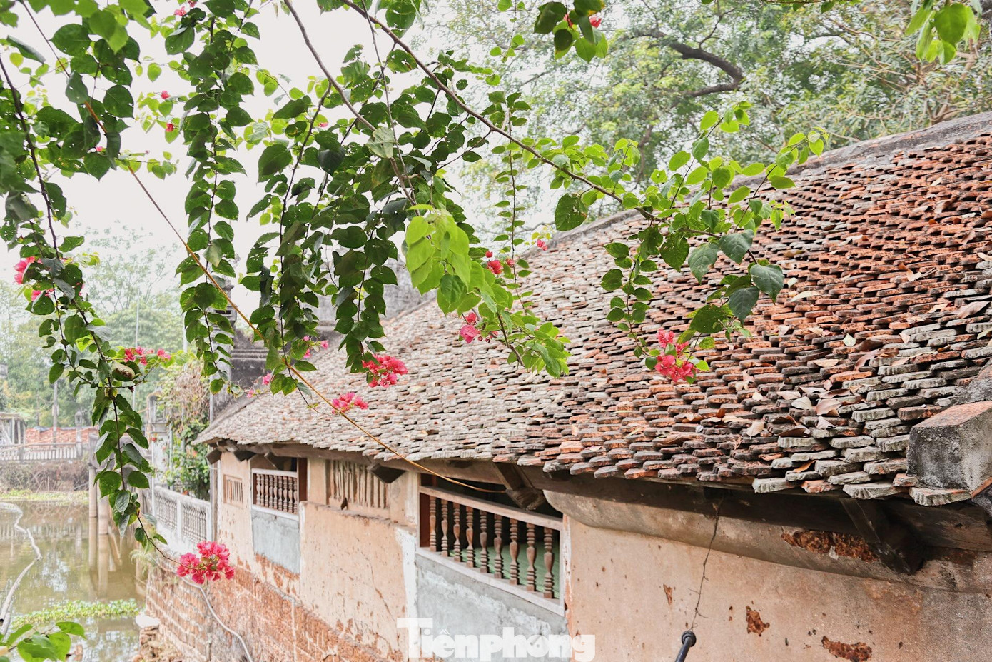 Phần tường được xây bằng đá ong cổ kính, phần mái được lợp ngói vẩy cá.