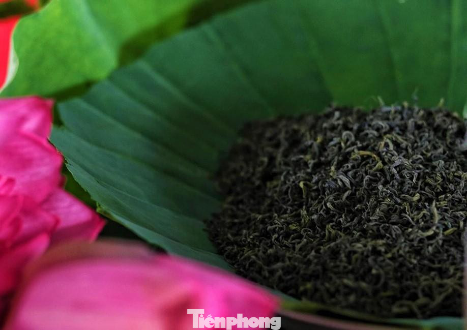 Đối với nghề ướp trà, sen đầu mùa chính là món quà tinh túy nhất mà đất trời đã ban tặng cho người dân vùng này.