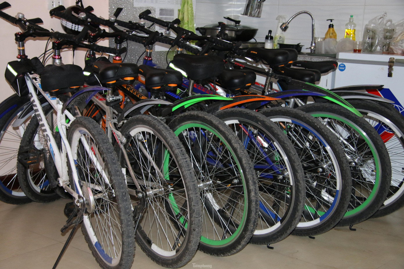 Nhiều bạn trẻ tỏ ra rất thích thú với dịch vụ cho thuê xe này, vừa để thư giãn sau một ngày học tập, làm việc vất vả, vừa luyện tập thể dục nâng cao sức khỏe.