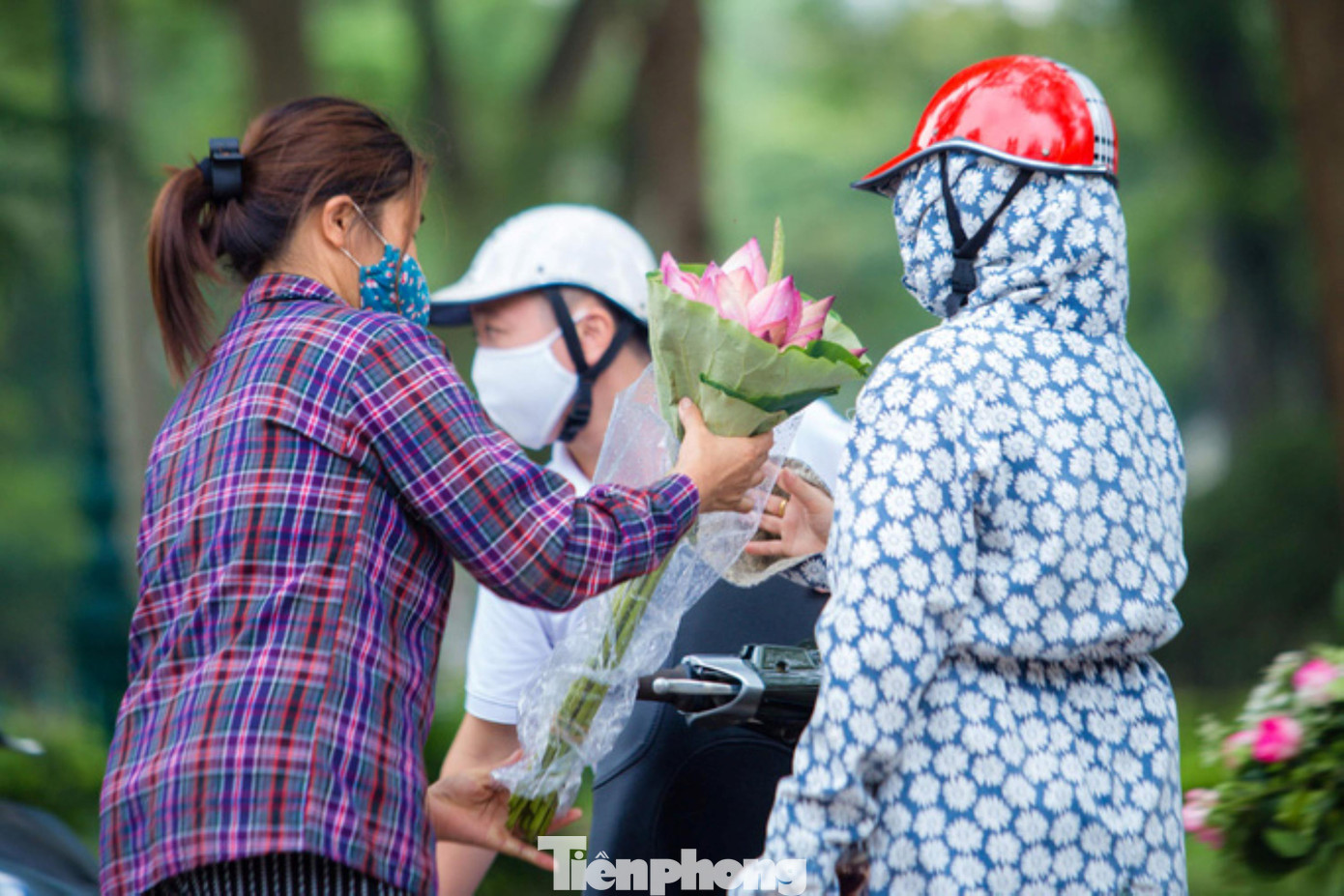Tại khu vực chợ hoa Quảng Bá (Tây Hồ) sen cũng bắt đầu được bày bán nhiều.