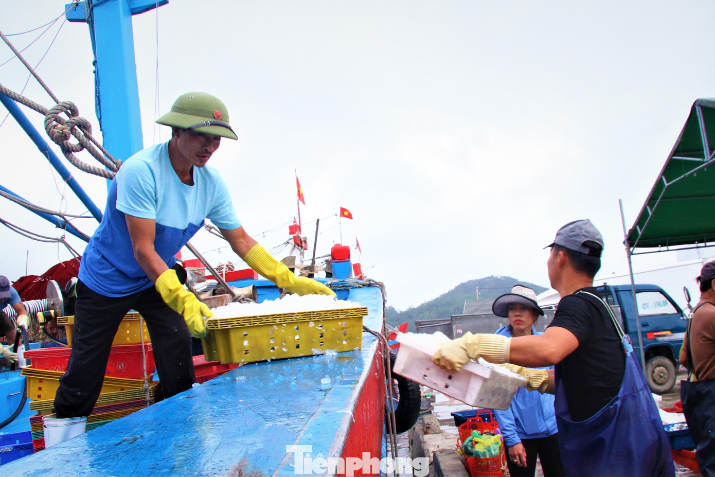Ngư dân Phạm Duy Hưng ở xã Quỳnh Thuận cho biết: “ Nhờ trời, chuyến biển này tàu của tôi đánh bắt được hơn 600 kg mực luộc, chưa kể hàng tấn các loại hải sản khác như tôm, cá khác vẫn còn trên thuyền thì thuyền nhà tôi bán ra tại cảng với giá 110.000 đồng/kg, cũng đã được hơn 60 triệu đồng, được giá nên mấy anh em cũng phấn khởi và có động lực hơn”