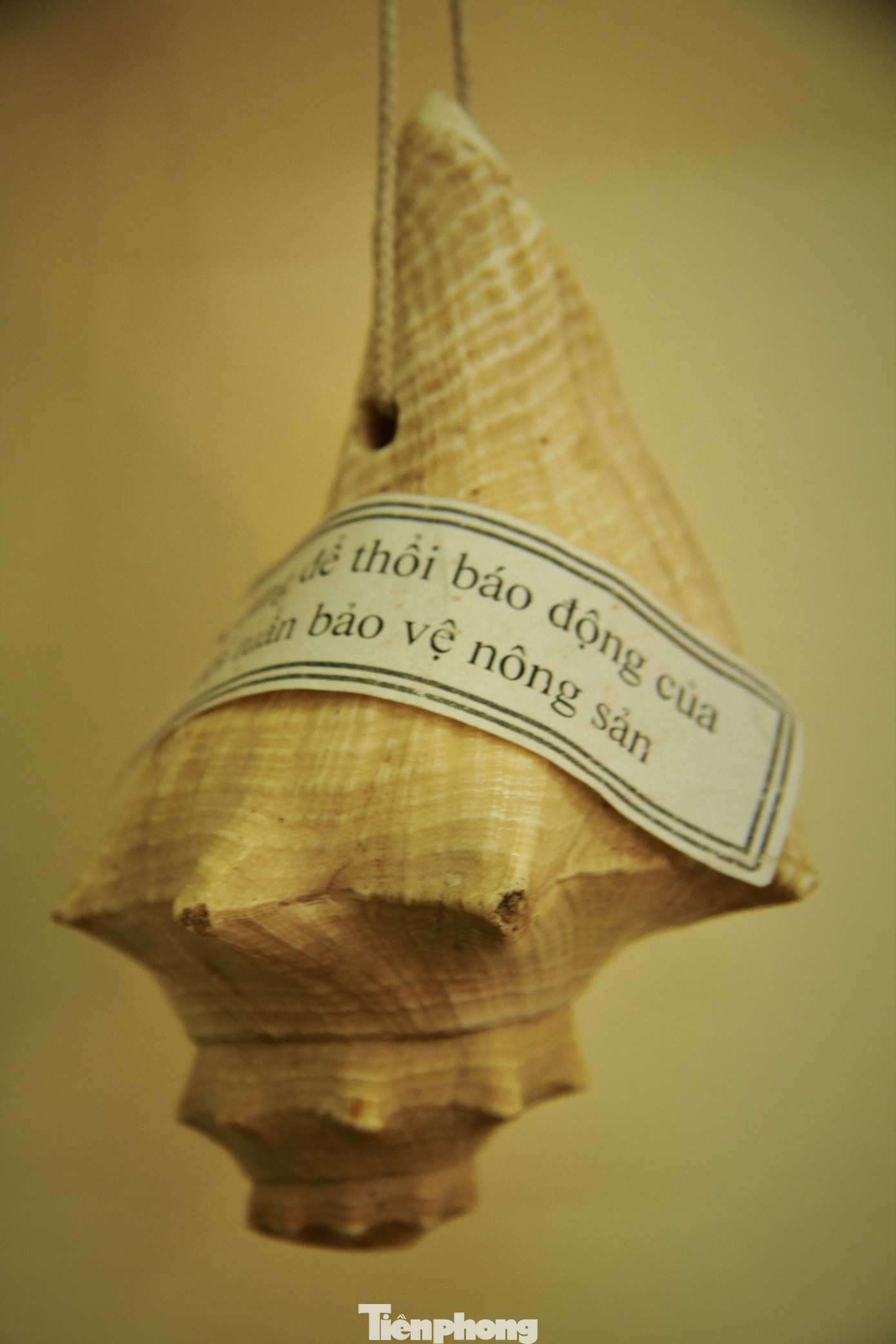 Vỏ ốc để thổi báo động của người đi tuần nhằm mục đích bảo vệ nông sản.