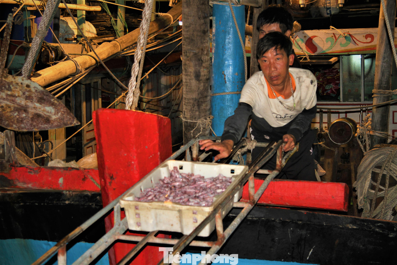 Sau những ngày dài vươn khơi bám biển hàng chục tàu thuyền công suất lớn của ngư dân Quỳnh Lưu vui mừng trở về vì trúng được mẻ mực lớn.