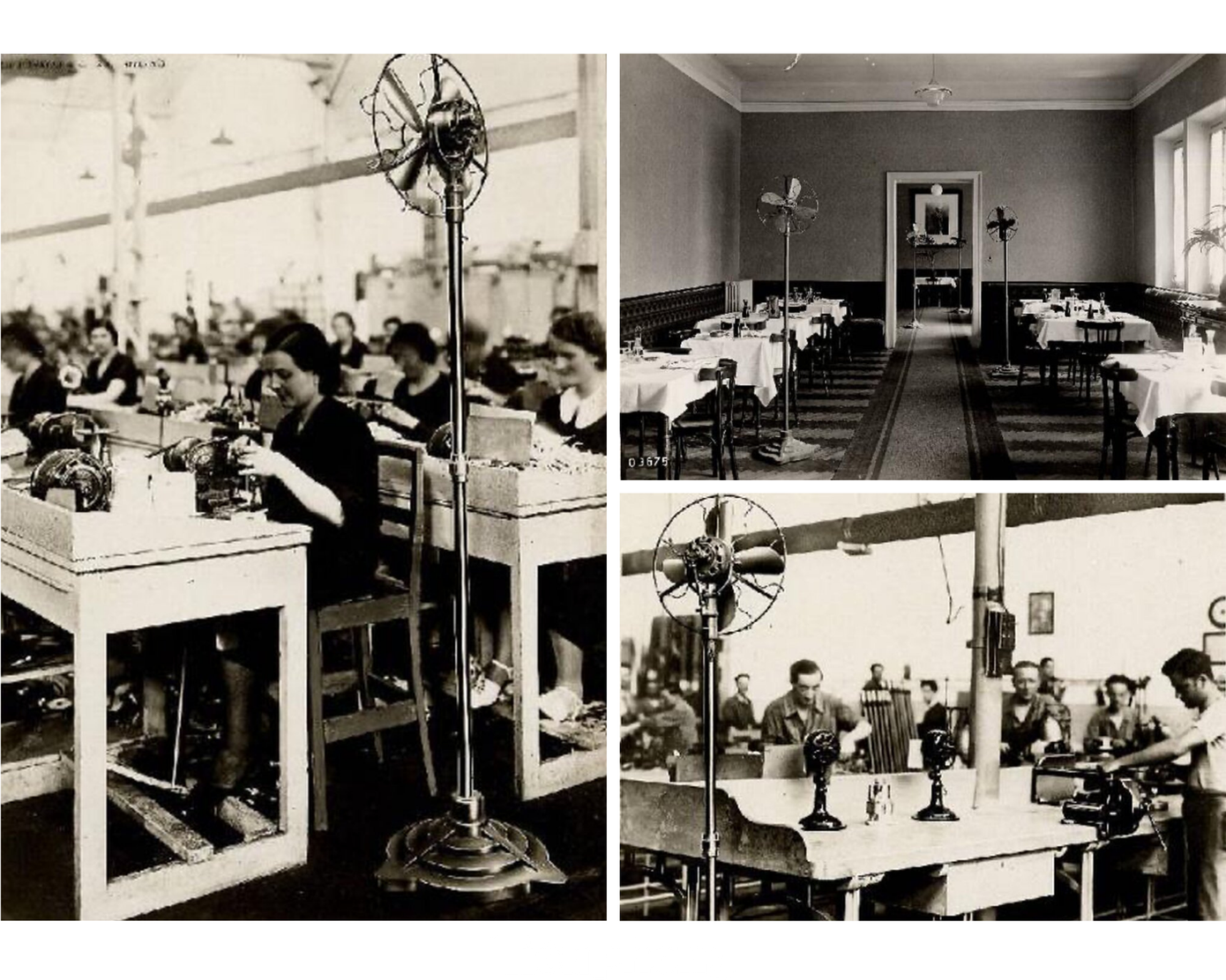 Những chiếc quạt cổ này trước đây được người Pháp chở sang trang hoàng cho các dinh sở, biệt thự để làm dịu đi cái nóng miền nhiệt đới. Đã có thời gian, những chiếc quạt điện chỉ dành cho những gia đình quý tộc.