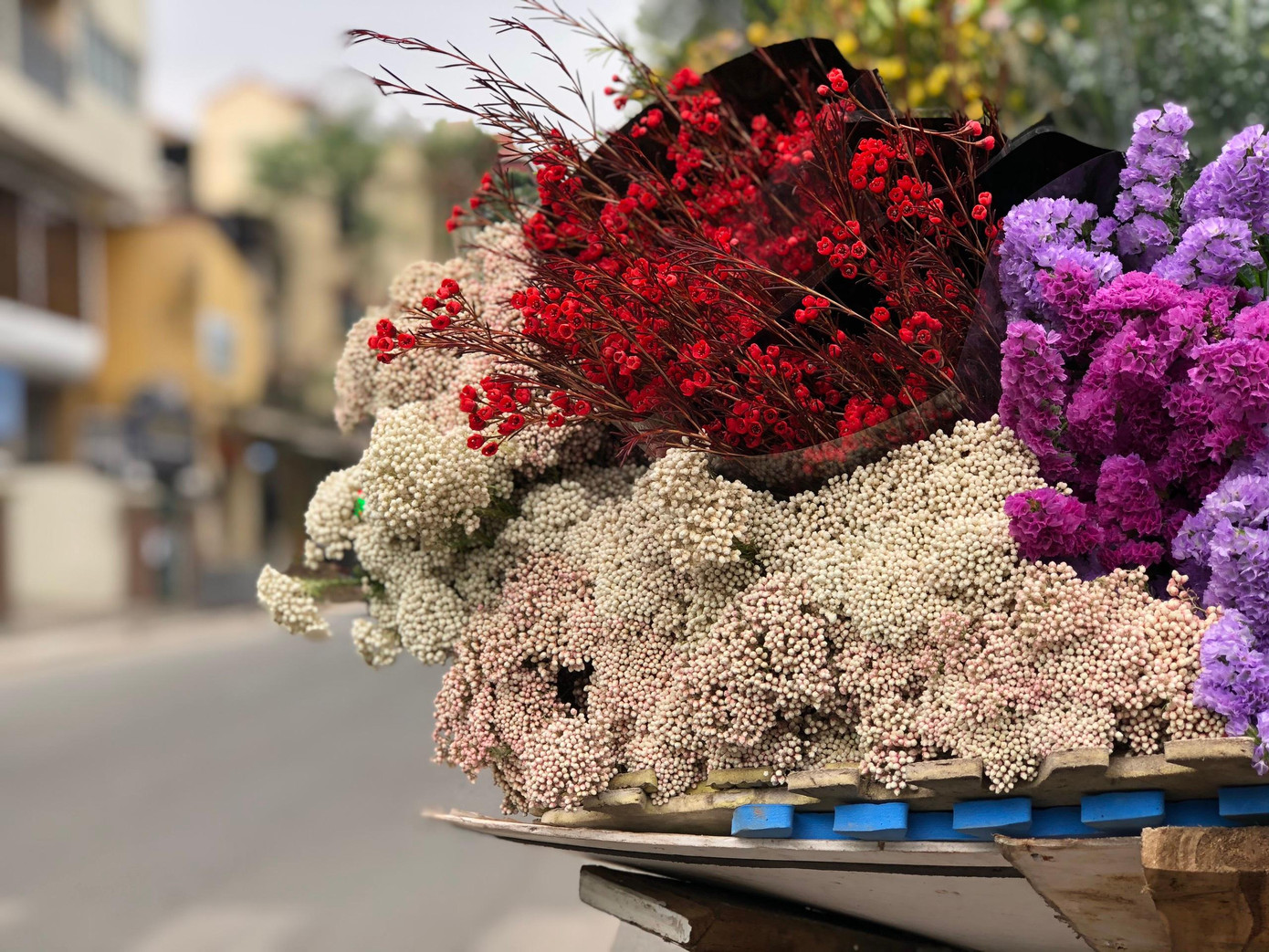 Hoa baby gạo đang dần phủ kín những chiếc xe hoa dạo. Sở dĩ hoa được gọi với cái tên là baby gạo bởi những bông hoa nhỏ như những hạt gạo.