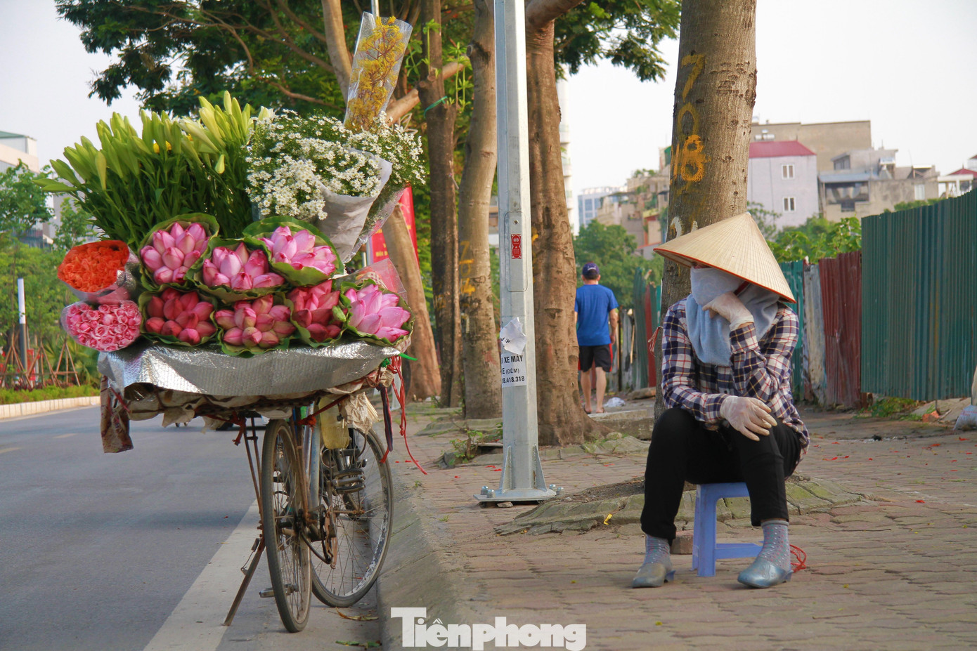 Những ngày cuối tháng 5, trên nhiều con ngõ, góc phố của Thủ đô, chúng ta dễ dàng bắt gặp gánh hàng rong với đủ loại sen trắng, sen hồng nhẹ nhàng khoe sắc.