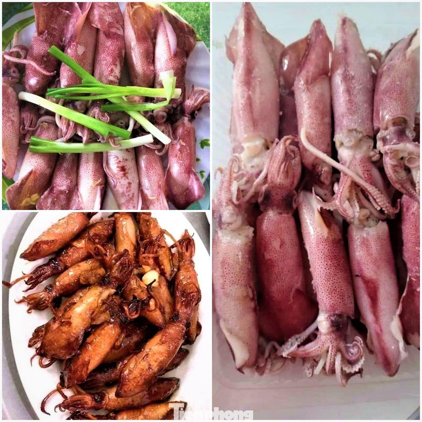 Mực hấp sẵn nên dễ dàng chế biến, có thể hấp lại cuốn lá lốt chấm xì dầu, rang chua ngọt, xào xả ớt.…đề vô cùng hấp dẫn.