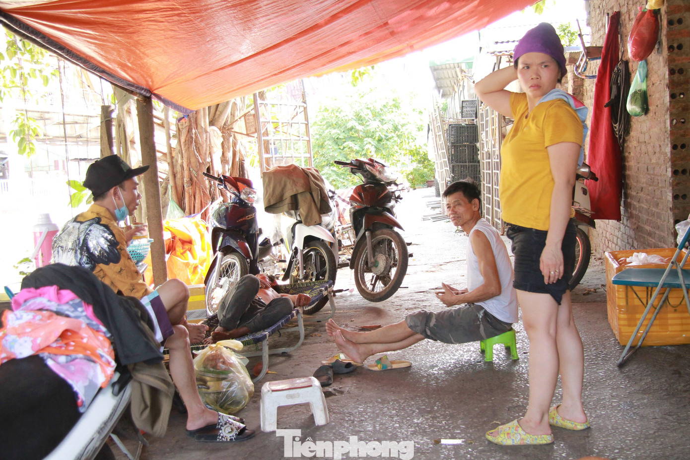 Họ là những người đến từ nhiều nơi khác nhau. Thế nhưng, vì cuộc sống ở quê lam lũ, họ ra Hà Nội bươn trải đủ thứ nghề từ gánh hàng thuê, đẩy xe, bán xôi, nước chè… Vì không có nhiều tiền thuê trọ nên những lao động nghèo rủ nhau về khu nhà trọ dưới chân cầu Long Biên sống qua ngày.