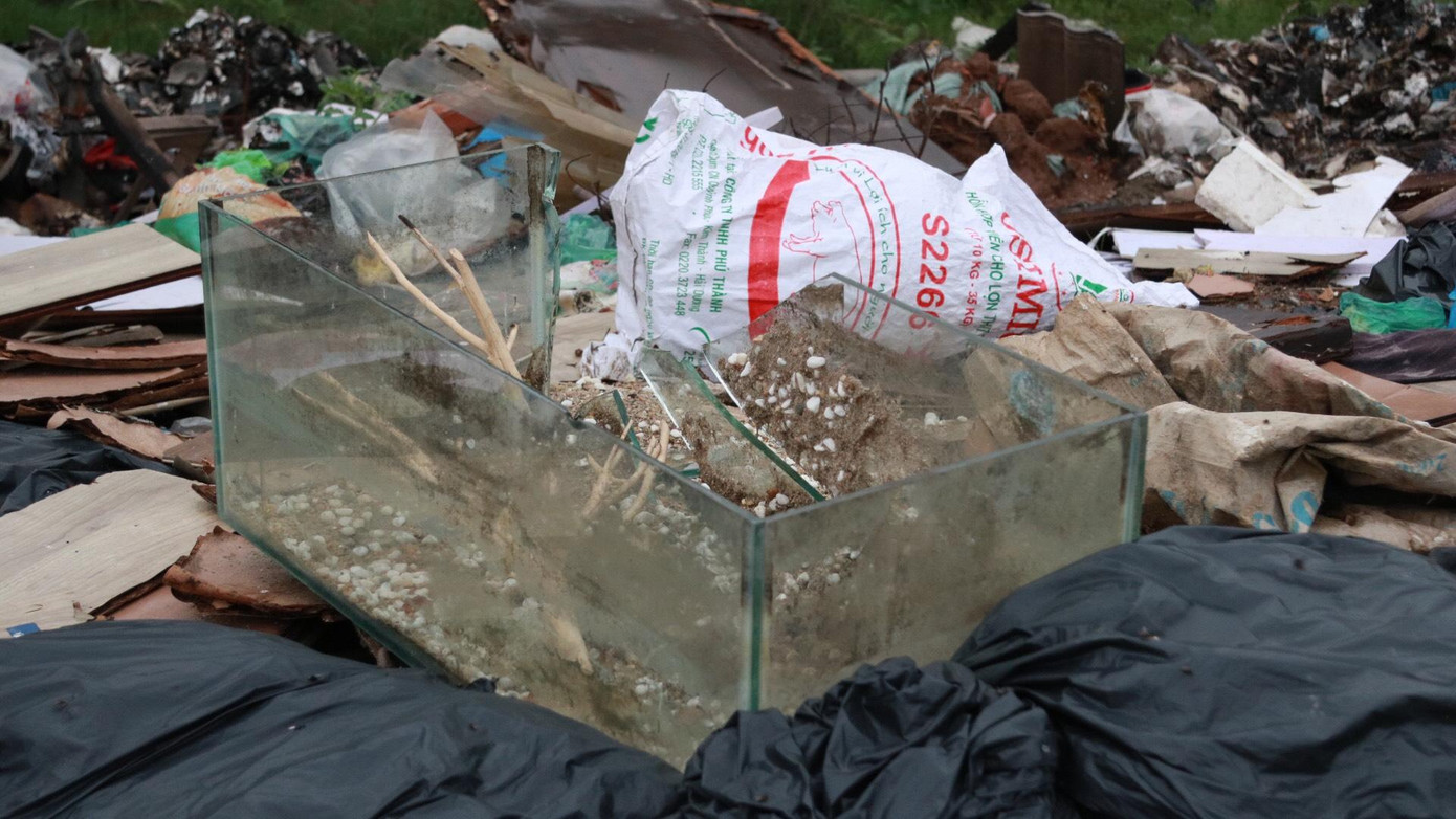 Những chiếc chậu thủy tinh sắc nhọn vô cùng nguy hiểm nằm ngổn ngang ngay trên đống rác.