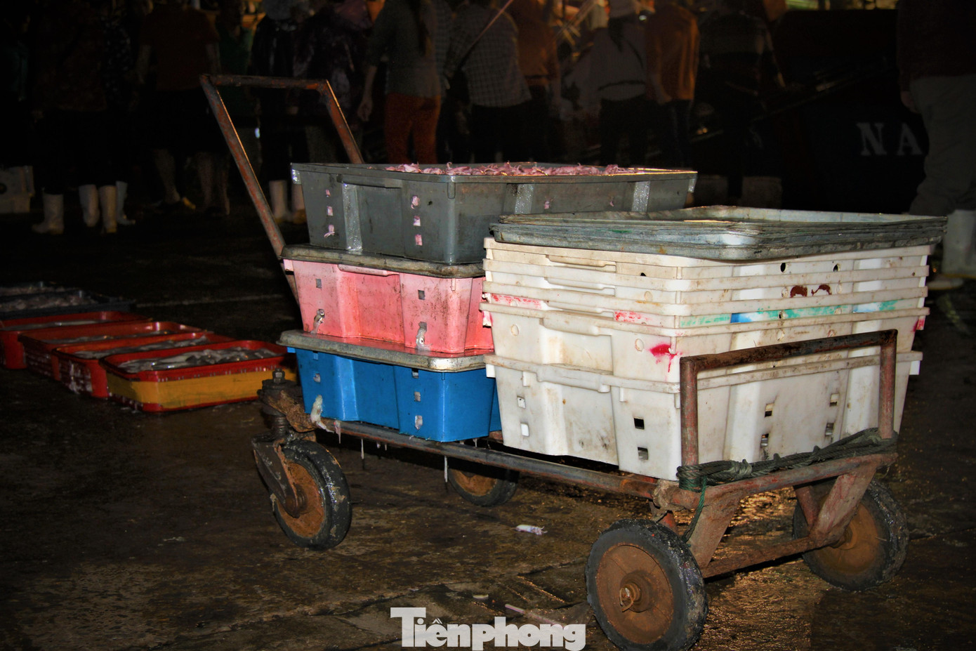 Theo chia sẻ của bà con ngư dân, dịp này sản lượng hải sản đánh bắt được dù không quá nhiều, nhưng bù lại sản phẩm mực luộc có giá trị kinh tế cao, nên nhiều chủ tàu phấn khởi vì có lãi.