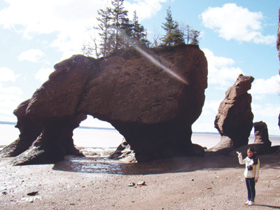 Khủng long khổng lồ (khi nước rút)