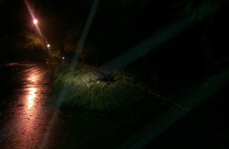 Bão số 3 sắp suy yếu thành áp thấp ảnh 8