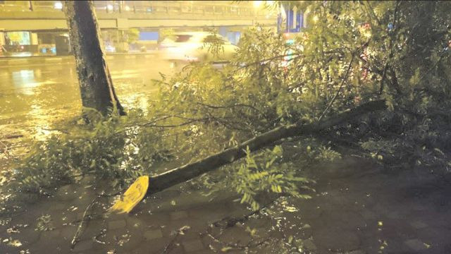 Bão số 3 sắp suy yếu thành áp thấp ảnh 2