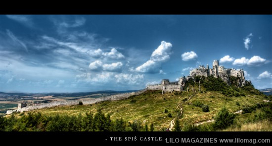 Lâu đài Malbork nổi tiếng nhất Ba Lan rộng 143.591 m2, được xây hoàn toàn bằng gạch theo phong cách kiến trúc Gôtích lớn nhất thế giới. Mehrangarh Fort rộng 81.227 m2, một pháo đài hàng nghìn năm tuổi tại Ấn Độ. Bao quanh là bức tường kiên cố có chiều dày 6m, bên trong là cung điện nguy nga với kiến trúc tinh xảo. Tại đây, bạn có thể thấy nhiều hiện vật lịch sử của những vị vua. Prague Castle rộng 66.761 m2 là lâu đài thời trung cổ lớn nhất ở châu Âu và là nơi ngự trị cổ xưa của các vị vua Séc trong suốt các thời đại. Đây là quần thể các tòa nhà, cung điện, thánh đường lộng lẫy và được xem là biểu tượng của cộng hòa Séc. Windsor Castle rộng 54.835 m2, là lâu đài lớn nhất, lâu đời nhất thế giới và là niềm tự hào lịch sử nước Anh. Lâu đài Hohensalzburg rộng 54523 m2 nằm tại thành phố Salzburg, Áo. Spis Castle rông 49485 m2 là một trong những lâu đài thời Trung cổ lớn nhất ở trung tâm châu Âu, tại miền đông Slovak Buda Castle rộng 44.674 m2 là lâu đài lịch sử của các vị vua Hungary tại Budapest. Himeji Castle rộng 41.468 m2 nằm ở trung tâm của thành phố Himeji, Nhật Bản. Thành cổ Aleppo rộng 39.804 m2, được coi là niềm tự hào của sa mạc, thành cổ Aleppo là một trong những lâu đài nổi tiếng nhất trong thế giới Ả Rập.