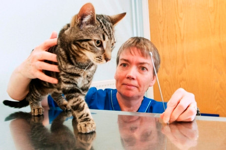 Ca phẫu thuật diễn ra thành công tốt đẹp. Các bác sĩ cho biết, đó là trường hợp bất thường nhất họ từng gặp