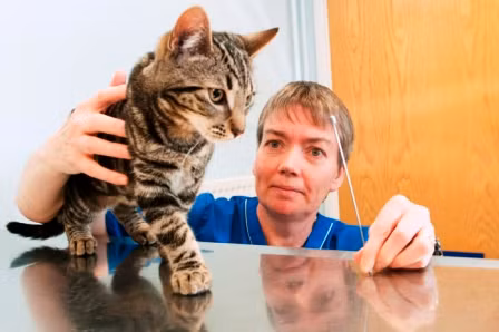 Ca phẫu thuật diễn ra thành công tốt đẹp. Các bác sĩ cho biết, đó là trường hợp bất thường nhất họ từng gặp