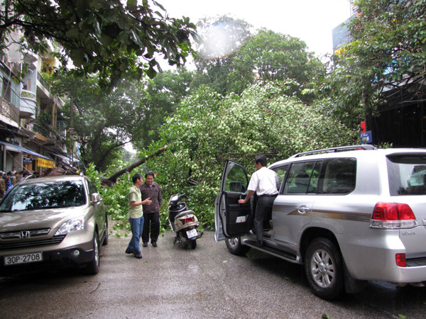 Phố Hòa Mã bị chắn ngang lối đi