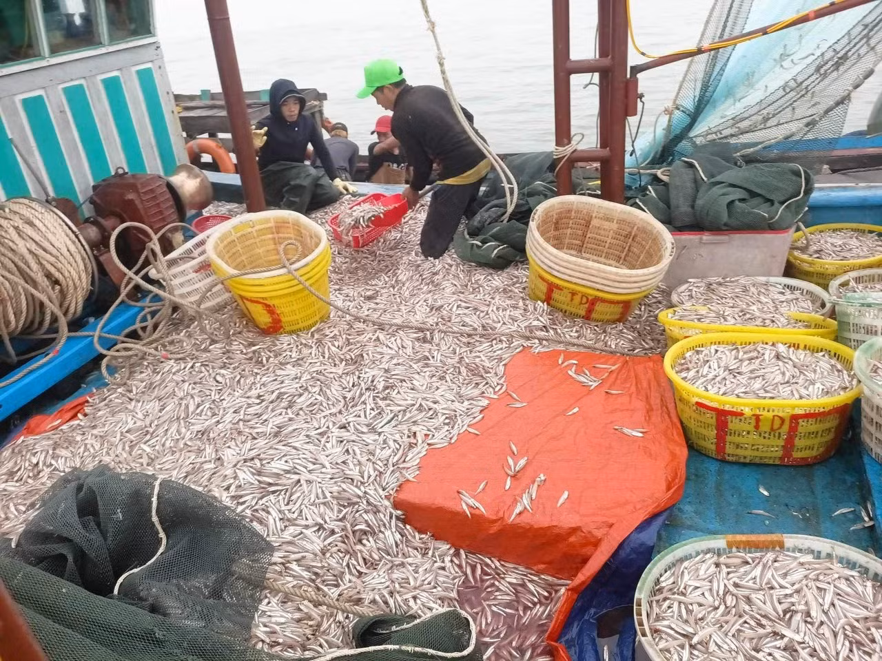 Tàu anh Cường cập bờ với hơn 6 tấn cá cơm