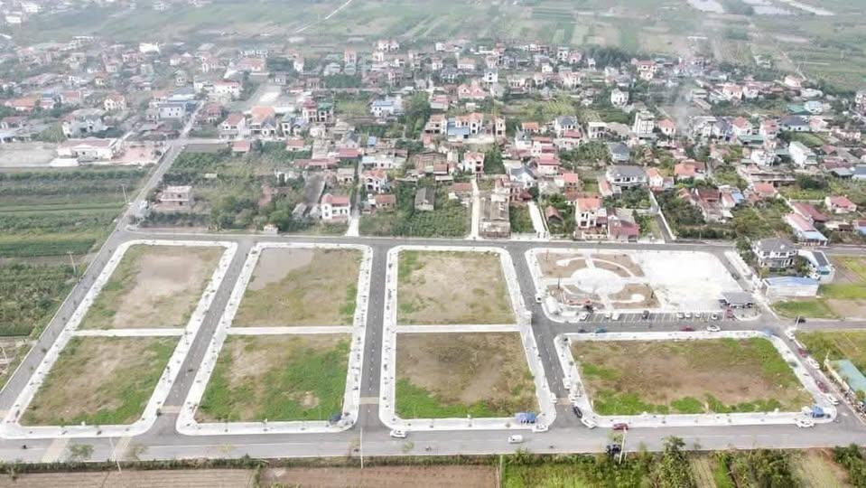 Tại phiên đấu giá 82 lô đất ở xã Nhật Tân (huyện Tiên Lữ, tỉnh Hưng Yên), một khách hàng trả nhầm mức giá 4,92 tỷ đồng/m2. Ảnh minh họa. Tại phiên đấu giá 82 lô đất ở xã Nhật Tân (huyện Tiên Lữ, tỉnh Hưng Yên), một khách hàng trả nhầm mức giá 4,92 tỷ đồng/m2. Ảnh minh họa.