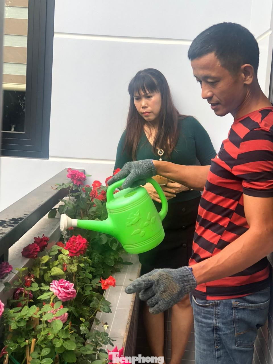 Gia chủ cho biết: “Toàn bộ thiết kế, ý tưởng đều do tôi tự nghĩ ra sao cho phù hợp với không gian của gia đình, với phương châm: Đơn giản, hiệu quả, hợp lý và đặc biệt phải dễ sử dụng, không tốn nhiều công sức vì tôi xác định mình không có nhiều thời gian chăm sóc. Vợ tôi sẽ hỗ trợ những công việc như quét dọn, trồng cây giống,...”.