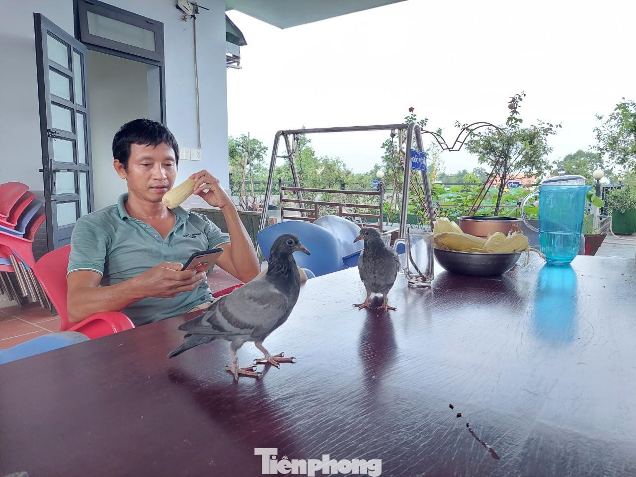 Từ đó, một ngôi nhà 3 tầng rộng lớn ra đời với tầng 1 làm cửa hàng kinh doanh, tầng 2 là nơi cả gia đình sinh sống còn tầng thượng có diện tích 300m2 dùng để làm vườn và các công năng khác. Anh Huynh chia tầng thượng 300m2 làm ba khu: khu phòng tập rộng 40m2; khu ăn uống, bếp và công trình phụ trợ khoảng 60m2; 100m2 anh dùng để trồng hoa, tiểu cảnh; còn lại 100m2 trồng rau, củ, quả phục vụ sinh hoạt hàng ngày của gia đình.