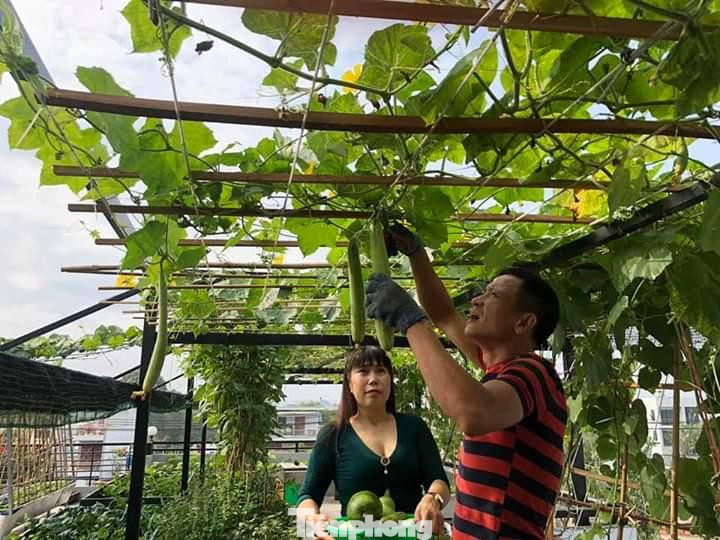 Sinh ra và lớn lên ở Hà Tây cũ, vợ chồng chị Gấm – anh Huynh cùng đi du học và làm việc ở Châu Âu vào những năm 90 và trở vể Việt Nam định cư tại thị trấn Hóc Môn (TP. Hồ Chí Minh) từ năm 2010 đến hiện tại. Do bản thân sinh ra ở vùng nông thôn nên vợ chồng anh chị rất thích gần gũi với thiên nhiên. Họ muốn xây dựng một ngôi nhà đủ rộng để làm sao cả gia đình (hai vợ chồng và 4 đứa con) chỉ ở một tầng còn tầng thượng phải là không gian xanh, chỗ vui chơi giải trí cho tất cả các thành viên.