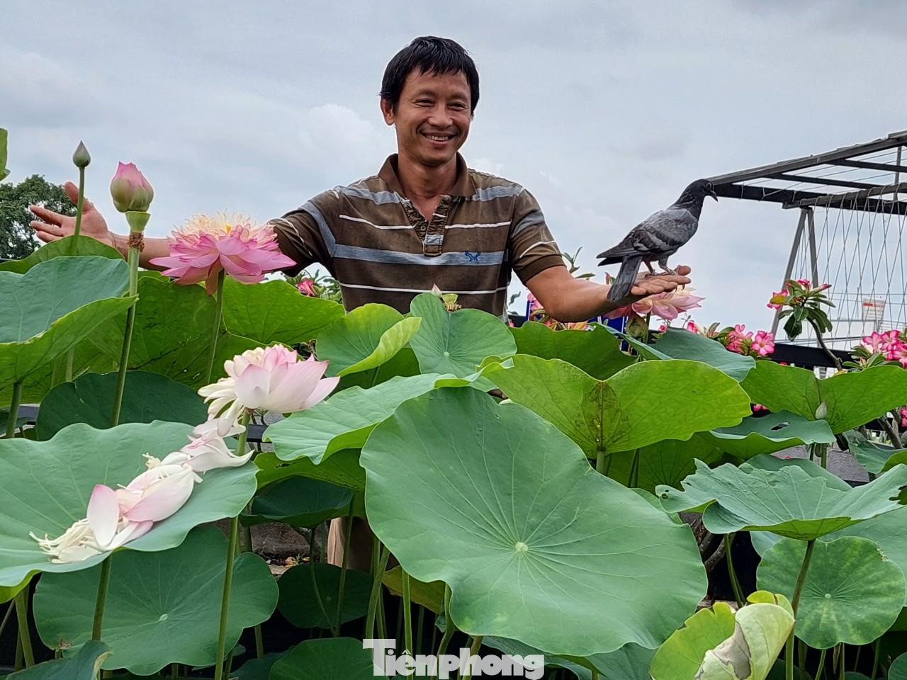 Gia chủ cho biết hệ thống bồn của mình làm rất đơn giản, rẻ tiền; ví dụ hồ sen không cần xây mà chỉ cần hàn khung xung quanh, bắn tôn rồi trải bạt chống thấm, bên ngoài dán cỏ nhân tạo. Làm vậy vừa tiết kiệm, không nặng mái, đẹp và có thể di chuyển dễ dàng.