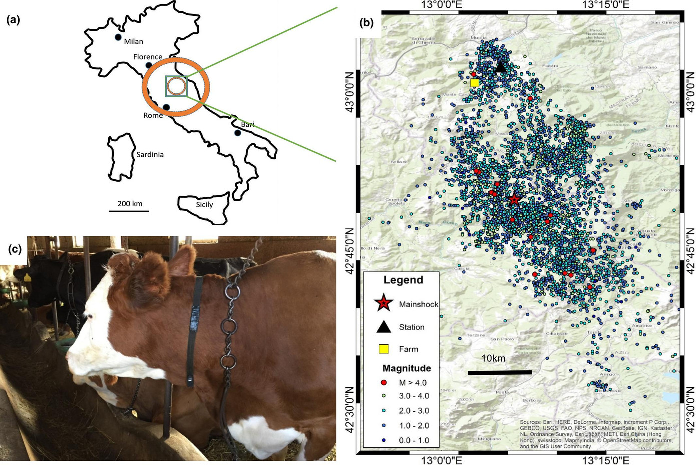 Ảnh minh họa cuộc nghiên cứu của các nhà khoa học về mối liên hệ giữa phản ứng của một số gia súc với động đất ở miền bắc nước Ý