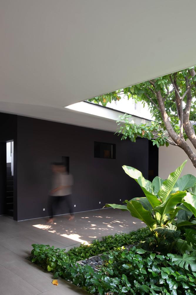 Đồng thời, nhờ cách bố trí tường lệch, ngôi nhà tạo ra dãy hành lang làm chỗ đi lại và không gian vui chơi bao quanh hồ cá cho trẻ em.