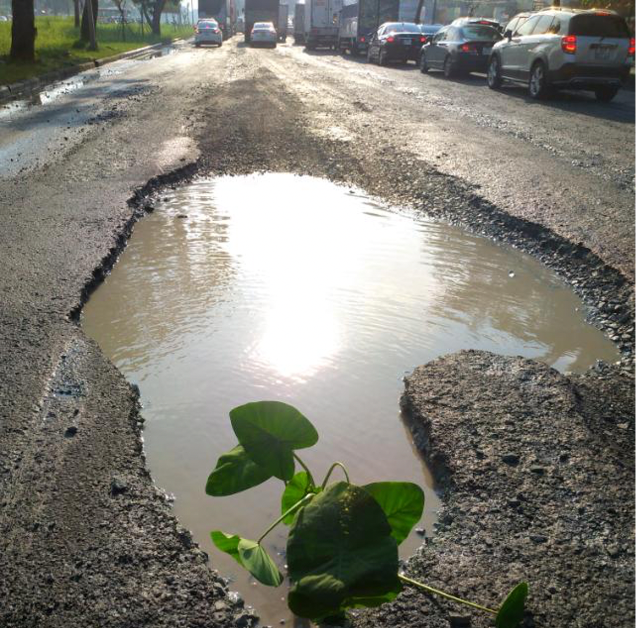 Liên quan đến nội dung trên, Sở GTVT TPHCM cho biết, hàng năm, Sở đều có các văn bản gửi Công ty Phú Mỹ Hưng yêu cầu tăng cường kiểm tra, sửa chữa ngay mặt đường hư hỏng gây mất an toàn giao thông. Tuy nhiên, việc sửa chữa còn chậm, các vị trí sửa chữa không đạt yêu cầu và nhanh chóng hư hỏng trở lại. Ảnh: Sở GTVT TPHCM