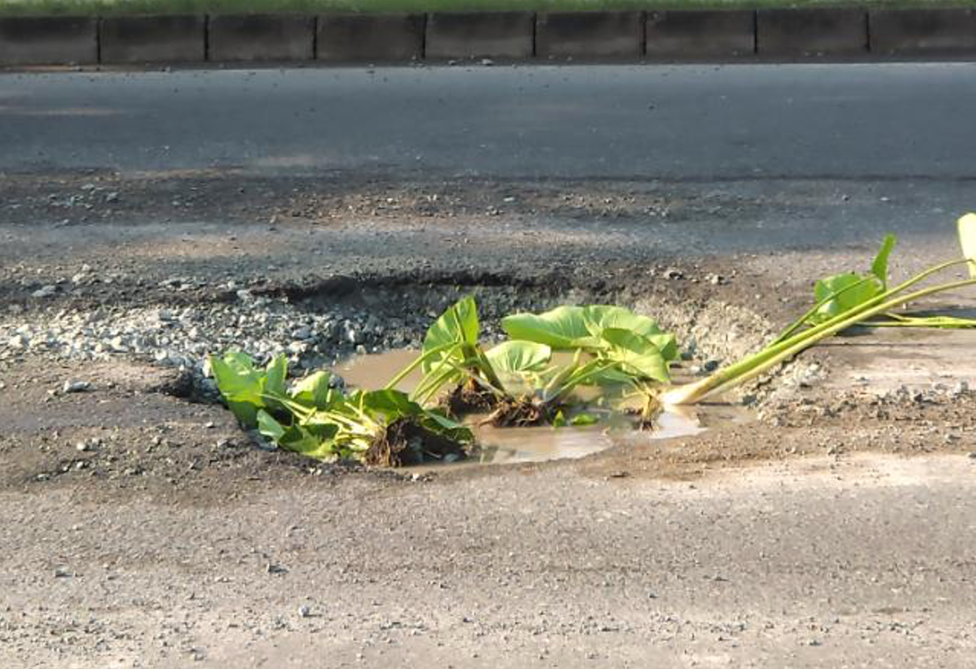 Chi chít ‘ổ gà’, ‘ổ voi’ trên đại lộ Nguyễn Văn Linh ảnh 10