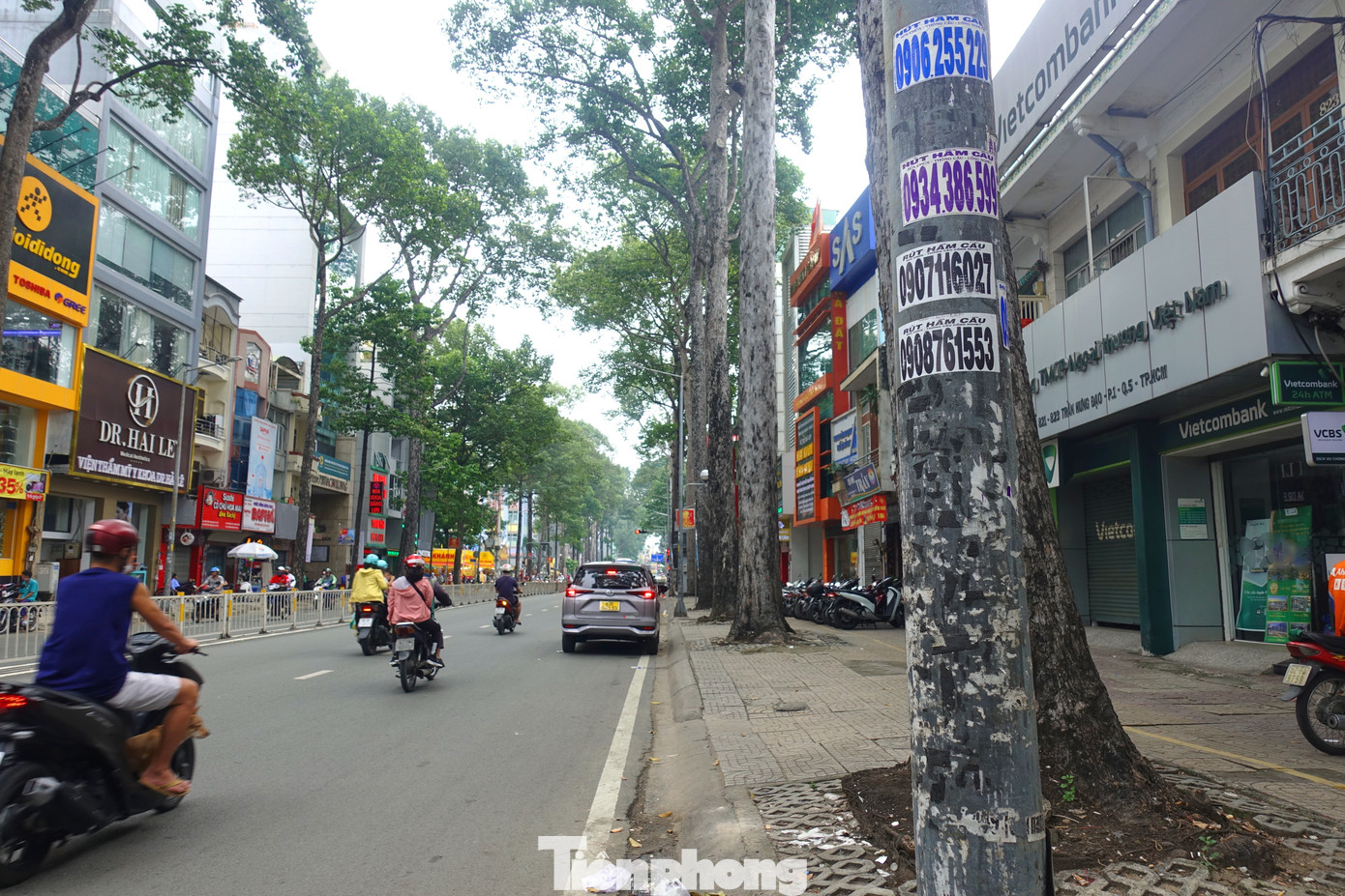 Anh Nguyễn Văn Năm (ngụ phường 1, quận 5) cho biết: "Nhìn vào có thể thấy, việc quấn tấm cỏ nhân tạo sẽ che chắn được những vết keo, tờ quảng cáo. Khi gỡ tấm che xuống thì trụ điện cả tuyến đường lại rất nhếch nhác bởi keo dán, tờ quảng cáo đủ loại. Bởi vậy, nếu không dùng tấm cỏ để che thì cơ quan chức năng cần nghiên cứu giải pháp mới để tẩy xóa vết bẩn".