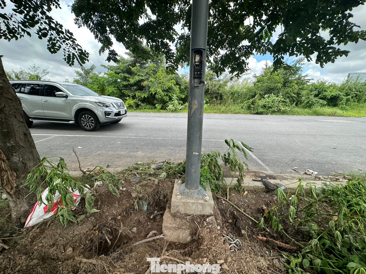 Một số trụ đèn bị mất nắp. Ảnh: CTV Một số trụ đèn bị mất nắp. Ảnh: CTV