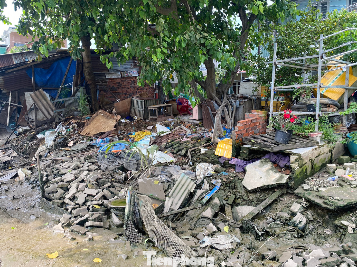 Một số đoạn còn ngổn ngang với đủ loại xà bần ở phía sau nhà các hộ dân.