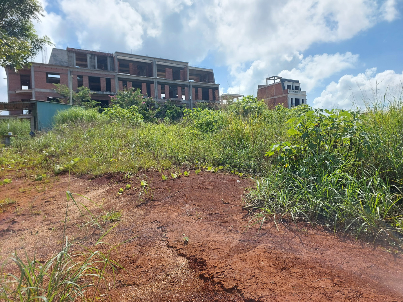 Dự án 700 tỷ đồng của FLC ở Gia Lai mọc đầy cỏ dại. Dự án 700 tỷ đồng của FLC ở Gia Lai mọc đầy cỏ dại.